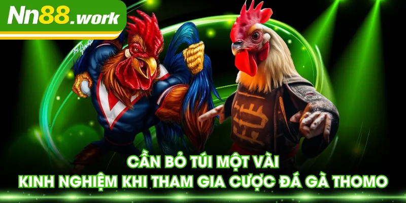 Cần bỏ túi một vài kinh nghiệm khi tham gia cược đá gà Thomo