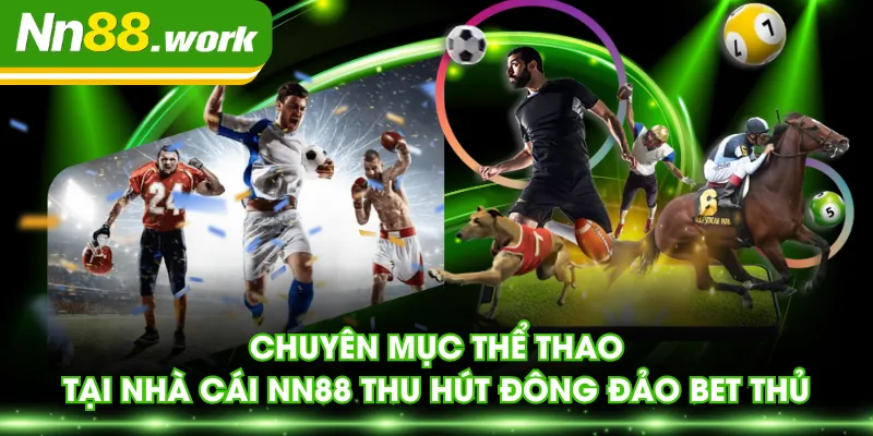 Chuyên mục thể thao tại nhà cái NN88 thu hút đông đảo bet thủ