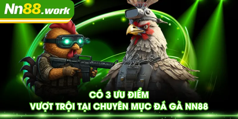 Có 3 ưu điểm vượt trội tại chuyên mục đá gà NN88