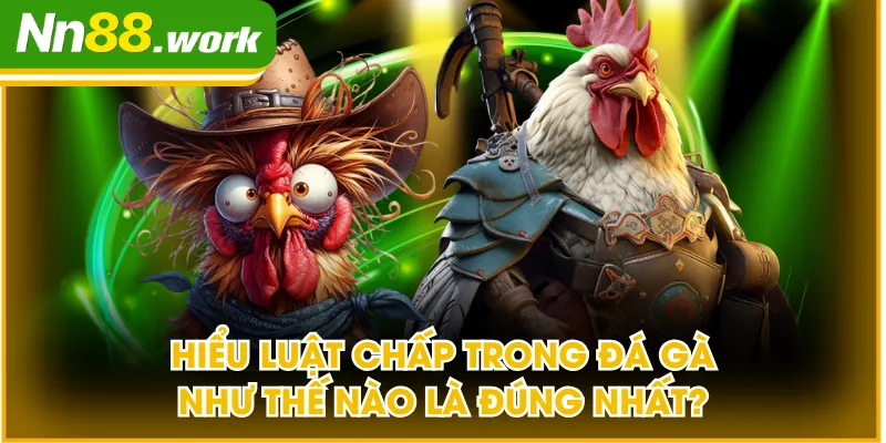 Luật chấp trong đá gà