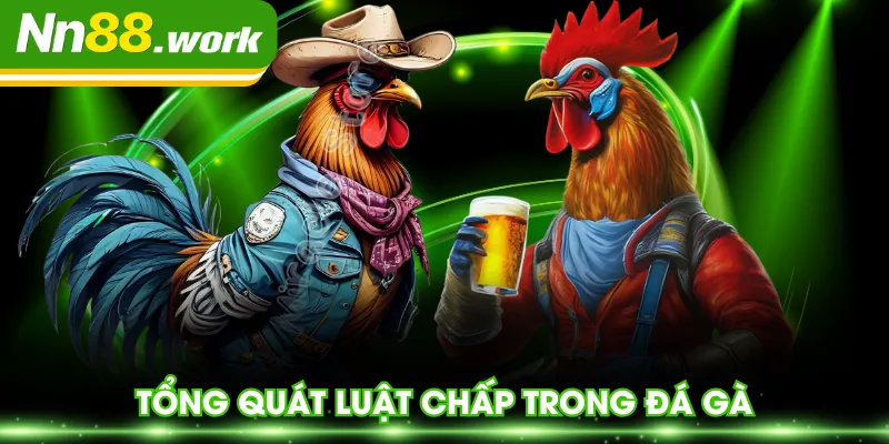 Tổng quát luật chấp trong đá gà